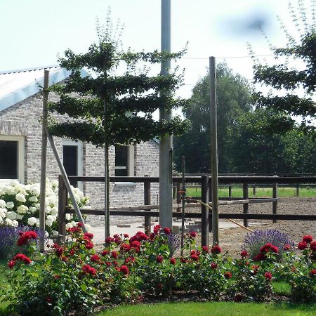 B & B " De 7 Sprong " Sevenum Εξωτερικό φωτογραφία