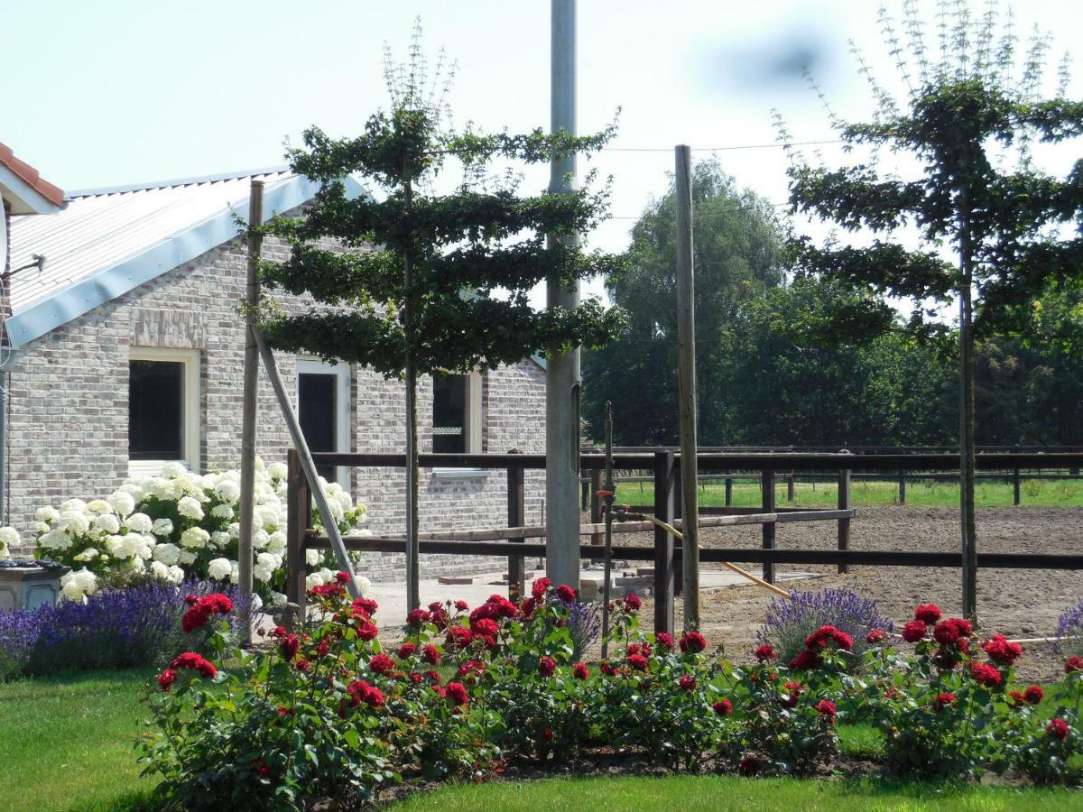 B & B " De 7 Sprong " Sevenum Εξωτερικό φωτογραφία