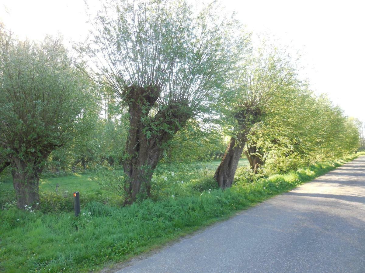 B & B " De 7 Sprong " Sevenum Εξωτερικό φωτογραφία