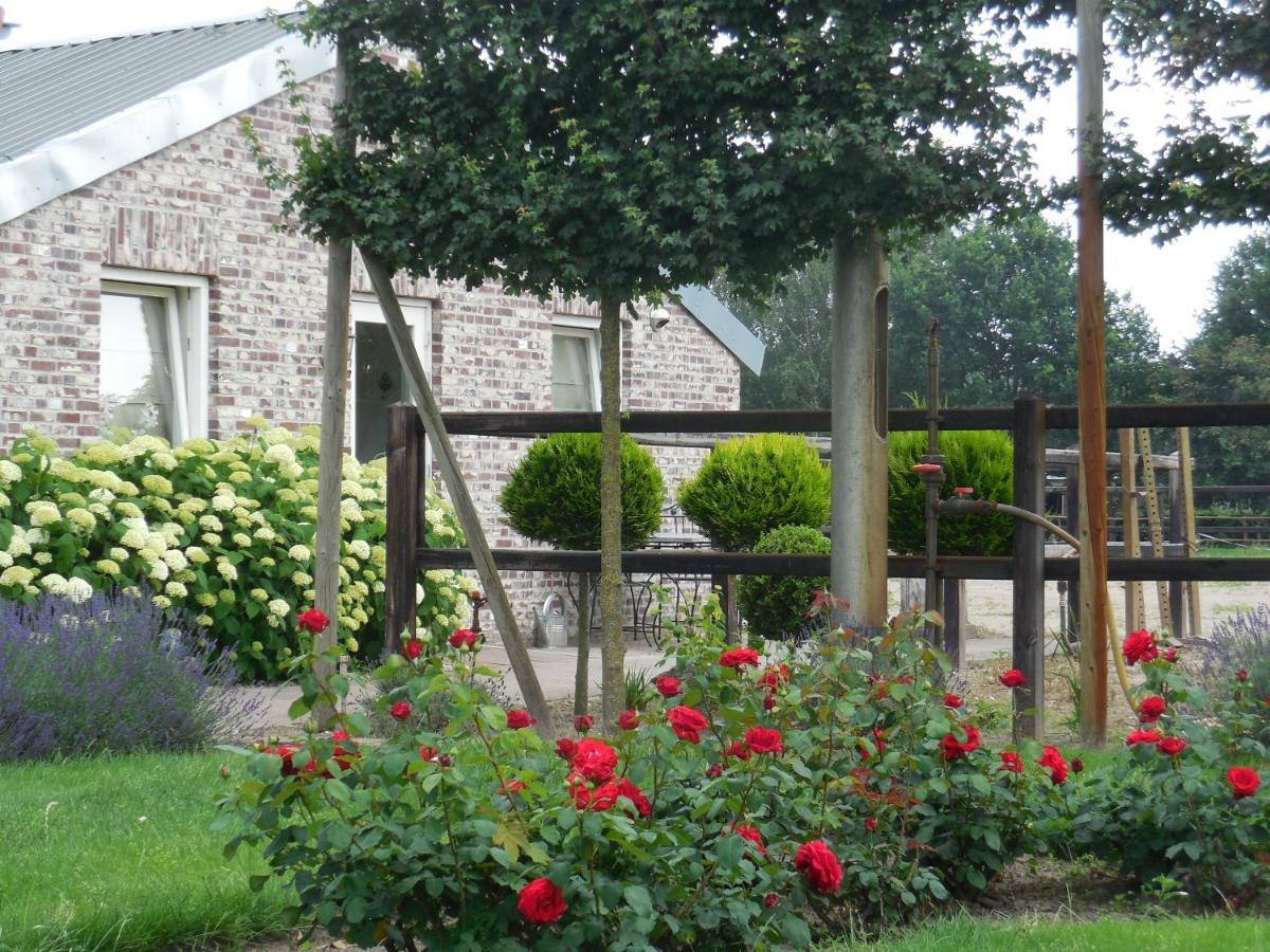 B & B " De 7 Sprong " Sevenum Εξωτερικό φωτογραφία